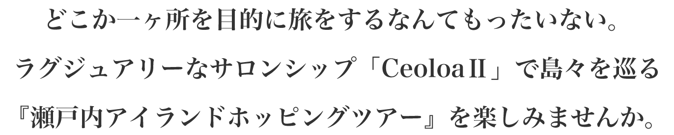 2どこか一ヶ所を目的に旅をするなんてもったいない。ラグジュアリーなサロンシップ「CeoloaⅡ」で島々を巡る『瀬戸内アイランドホッピングツアー』を楽しみませんか。